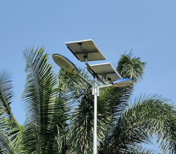 A solar streetlight next to a palm tree.